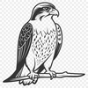 Bird of Prey Vector Design A vector graphic of a bird of prey, designed for cutting machines like the Cricut and laser engraving tools.
