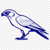A bird of prey, specifically a falcon, in detailed vector form, suitable for various designs.
