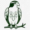 Bird in Flight Illustration SVG A detailed illustration of a Falcon in flight, with a minimalist design.