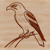 Free Falcom SVG Design A digital illustration of a falcon in vector format.