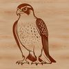 Vector Art Falcon Bird Design Falcon bird vector silhouette illustration