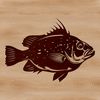 Beautiful Vector Crappie Design An intricately designed vector art representation of a crappie fish.