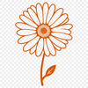 A simple illustration of a white daisy flower with yellow petals on a transparent background.