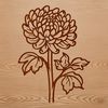An SVG vector graphic of a single Chrysanthemum plant, suitable for various digital designs.