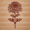 Beautiful Floral Plant Design A detailed illustration of a Chrysanthemum plant with large, showy flowers.