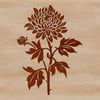 Blooming Chrysanthemum Icon A stylized vector representation of a blooming chrysanthemum plant, suitable for digital design and printing.