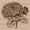 A detailed illustration of a chrysanthemum flower, suitable for graphic design and crafting projects.