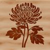 Stylized Floral Design A stylized illustration of a chrysanthemum flower, suitable for graphic design and digital art projects.