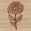 Blooming Beauty in Detail A detailed illustration of a single chrysanthemum flower, highlighting its petals and center.