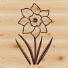 Spring Blooms in White A single blooming daffodil flower against a white background, suitable for vector designs.