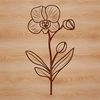 An intricately designed vector graphic of a large, exotic orchid plant.