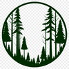 A forest landscape with a group of trees in various shapes and sizes.