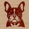 Wrinkly Furry Friend Vector A cute French Bulldog's head with prominent wrinkles.