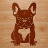 A cute sitting dog with a distinctive face and wrinkled skin, resembling a French Bulldog breed.
