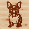 Bulldog Standing Still Life A digital illustration of a French Bulldog standing on its hind legs, suitable for use in various design projects.