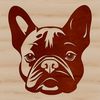 Illustrated French Bulldog breed illustration with dog's head in detail.