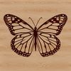 A colorful illustration of a butterfly with wings spread wide, suitable for gardening or craft projects.