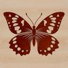 A colorful illustration of a butterfly, featuring detailed wings with veins and patterns.