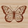 An vector graphic representation of a single butterfly in various colors.