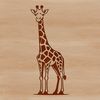 Elegant Giraffe in African Savannah A single African giraffe standing in a savannah landscape.