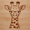 Giraffe Wearing Sunglasses Illustration A safari animal illustration of a giraffe wearing glasses.