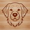 Vector illustration of a Golden Retriever dog's head, suitable for digital design.