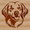 Golden Companion Close-up Illustration A close-up illustration of a friendly Golden Retriever's head.