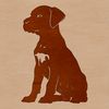 Beautiful Domesticated Canine Sitting A large, domesticated dog breed sitting on its hind legs.