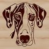 Canine Companion Design Vector graphic design featuring a Great Dane's face.