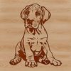 Calm Canine Companion Vector Art Illustrated vector image of a Great Dane sitting calmly.