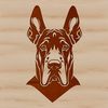 Great Dane Dog Portrait Vector A large breed dog with a distinctive head and floppy ears, commonly kept as a pet.