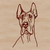 Canine Clip Art: A Simple Dog Drawing A simple line drawing of a Great Dane's head, suitable for various uses including printing and digital projects.