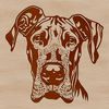 A detailed illustration of a Great Dane's head and face.