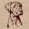 A close-up illustration of a Great Dane's head, suitable for vector art projects.