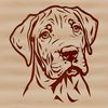 Great Dane Portrait Illustration A close-up illustration of a Great Dane's head, created as vector art.