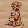 An illustration of a sitting Great Dane breed dog.