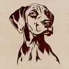 Vector Image of a Loyal Friend A high-quality illustration of a Great Dane dog with its distinctive head shape.