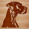 A detailed illustration of a Great Dane's head with features and texture.