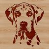 Majestic Great Dane Face Vector Graphic Close-up vector graphic of a Great Dane's face with realistic features.