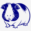 A small, furry mammal with large eyes and ears, popular as a household pet.