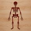 Free Vector Skeleton Design An SVG vector art design featuring a humanoid skeleton in a static pose.