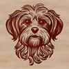 Vector graphic image of a Havanese breed dog showing its distinctive characteristics.