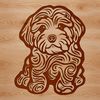 Friendly Havanese Breed Portrait A sitting Havanese dog breed with a friendly expression.