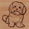 Cute Havanese Dog Vector A small breed dog sitting on its hind legs, depicted as a simple vector design.
