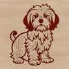 Standing Havanese Canine Portrait A single, standing Havanese dog with a calm expression.