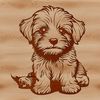 Havanese Pup in a Cozy Pose A small white dog breed, the Havanese, depicted in a sitting position.