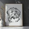 Free Vector Art of a Happy Havanese Face A detailed illustration of a Havanese dog's head, suitable for vector design.