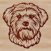 Whimsical Havanese Breed Portrait A detailed illustration of a Havanese dog's head with distinctive facial features.