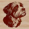 Free Vector Illustration of a Cute Havanese Head Close-up illustration of a small Havanese dog's head, ideal for vector design projects.