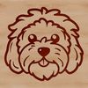 Detailed Havanese Dog Portrait A simple line drawing illustration of a Havanese dog's head with detailed facial features.